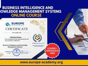 Business Intelligence and Knowledge Management Systems Online Course